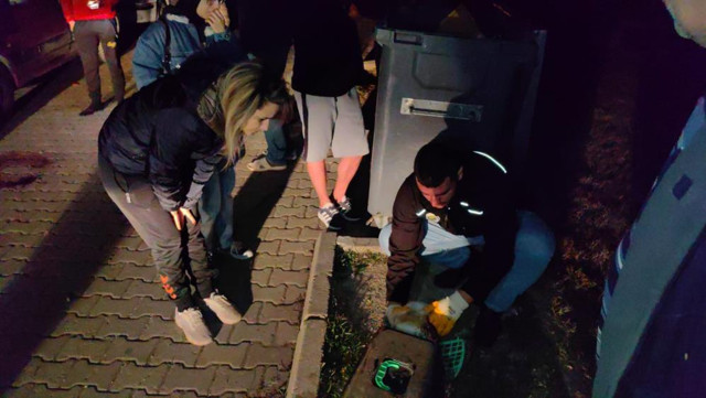 Komşuları haber verdi gözyaşlarına boğuldu! 6 ayda 6 kedisi öldürüldü - Resim: 3