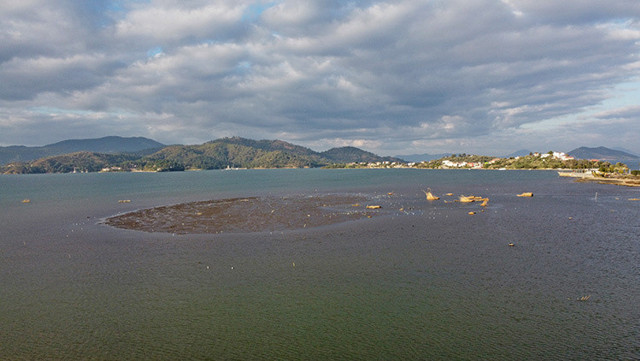 Fethiye'de korkutan görüntü! Deniz suyu 10 metre çekildi - Resim: 0
