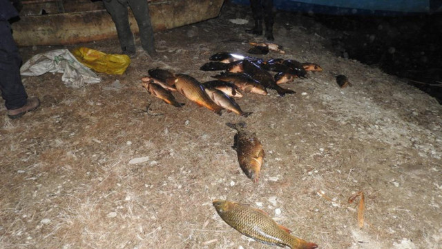 Yasak olmasına rağmen elektroşokla balık avladılar! - Resim: 0