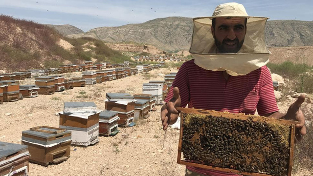 Bal arılarının tatlı bal yolculuğu başladı - Resim: 0
