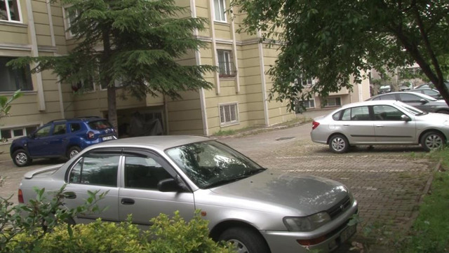 İstanbul tepki çeken görüntü: Yerde yatan köpeği otomobiliyle ezerek telef etti! - Resim: 3