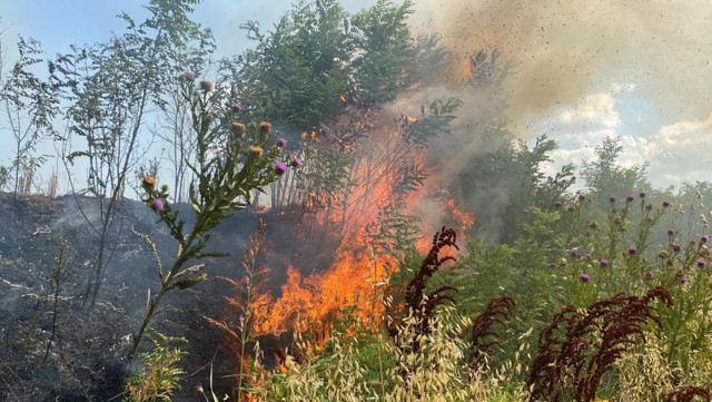 47 dönümlük tarlası 10 dakika içinde küle döndü! Sözleri yürekleri dağladı: "3 gün içinde biçecektik" - Resim: 1