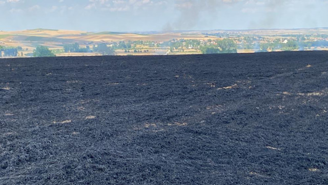 47 dönümlük tarlası 10 dakika içinde küle döndü! Sözleri yürekleri dağladı: "3 gün içinde biçecektik" - Resim: 4