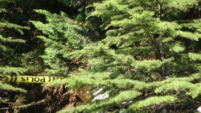 Kocaeli'de korkunç olay! Kokuyu duyanlar polisi aradı: Cürümüş ceset yol kenarında bulundu! - Resim: 1