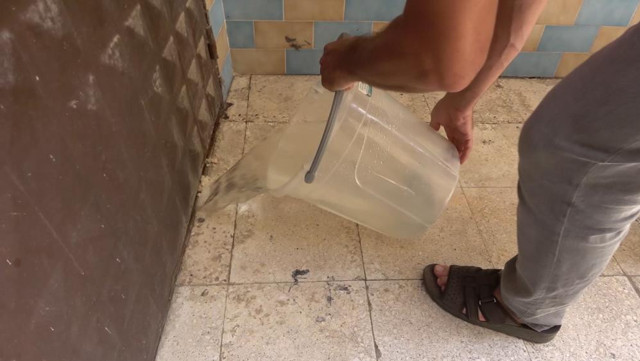 3 gündür mahsur kalan kedi kurtarılmayı bekliyor: Annesi garaj kapısında nöbet tutuyor - Resim: 1