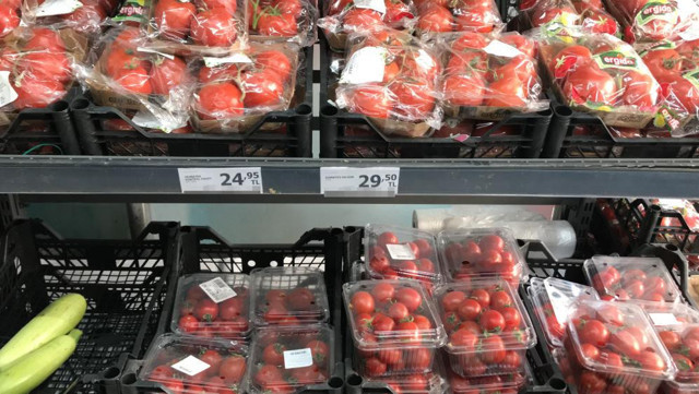 Tarlada 4 makette 30 lira! Üreticiler aracılara sitem edip vatandaşa çağrı yaptı - Resim: 0