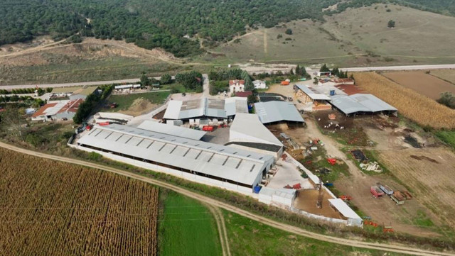 İki kardeş mühendisliği bırakıp çiftlik kurdu! - Resim: 0