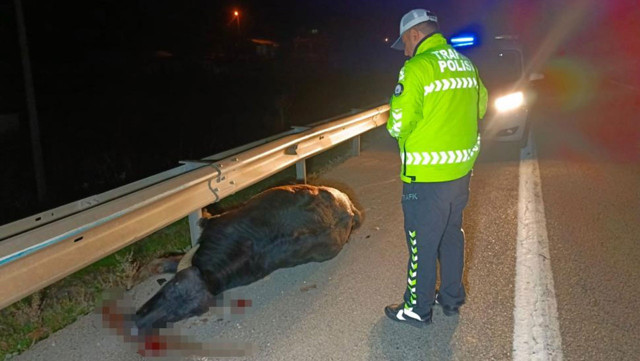 500 kiloluk mandaya çarpan otomobil hurdaya döndü! - Resim: 0