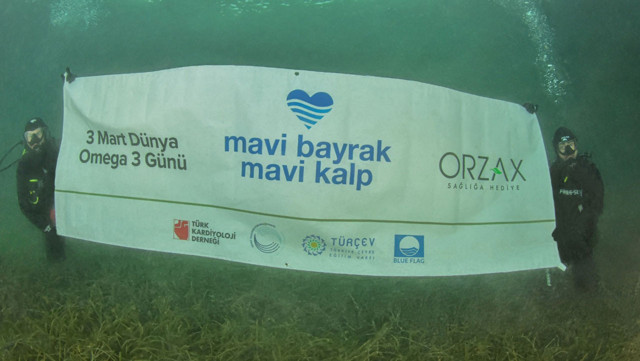 3 Mart Dünya Omega 3 Günü: Denizlerimiz Kalp Damar Sağlığı için Önem Arz Ediyor - Resim: 2