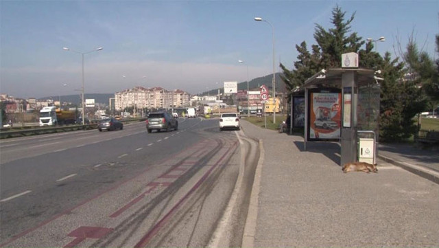 Doktor olmak istiyordu Liseli Elenur'un kahreden ölümü - Resim: 0