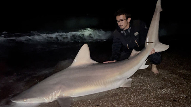 Antalya'da oltasına takıldı kıyıya çıkarmak için 20 dakika mücadele verdi - Resim: 0