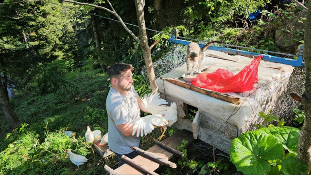 Tavuklarını ayılardan koruyabilmek için yerden 25 metre yükseklikte kümes yaptı - Resim: 0