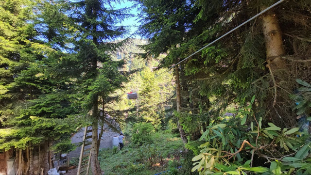 Tavuklarını ayılardan koruyabilmek için yerden 25 metre yükseklikte kümes yaptı - Resim: 2