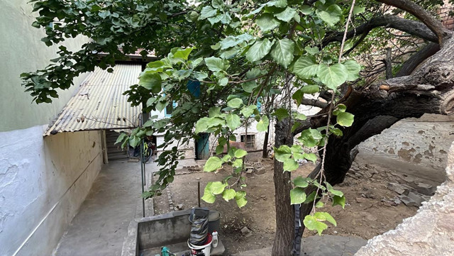 Kan donduran itiraf! Evin bahçesine gömmüşler, yabancı uyruklu 4 kişi gözaltında - Resim: 1