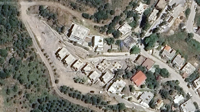 Ağaç katliamı pahalıya patladı! Bakanlıktan şarkıcı Suavi'ye ceza: Kesilen her ağaç için... - Resim: 0