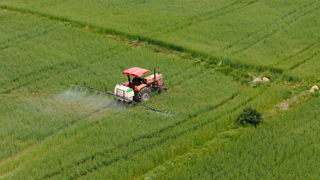 Ülker ve Sabancı Üniversitesi buğday için ele ele verdi - Resim: 0