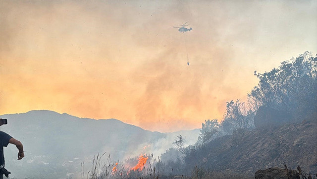 Alanya'da ormanlık alanda çıkan yangın mahalleye sıçradı - Resim: 0