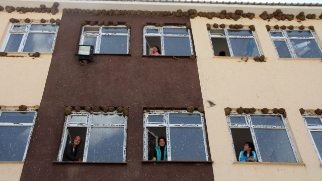 Yüzlerce kırlangıç okula yuva yaptı - Resim: 2