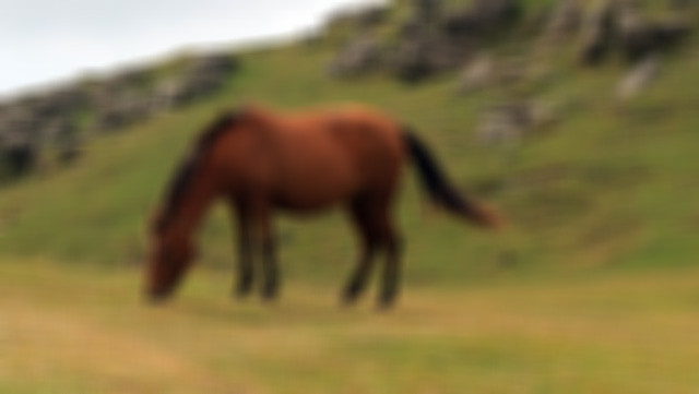 Ata tecavüz ederken yakalandı para cezasıyla kurtuldu - Resim: 4