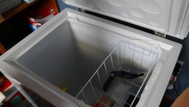 Üç çocuk derin dondurucuda feci şekilde can verdi! - Resim: 2