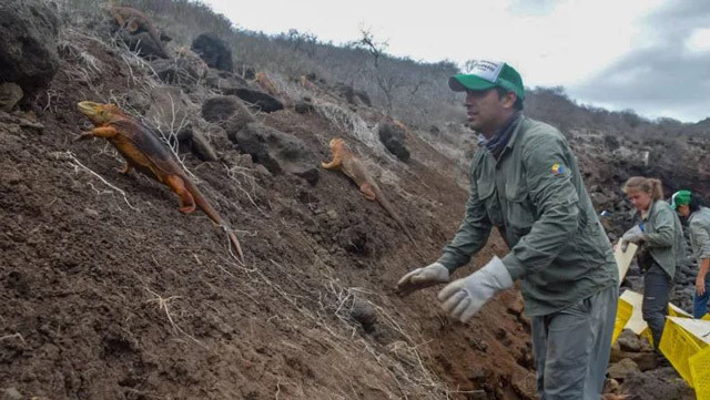 Soyları tükendi sanılıyordu 200 yıldan sonra ilk defa görüldü! - Resim: 3