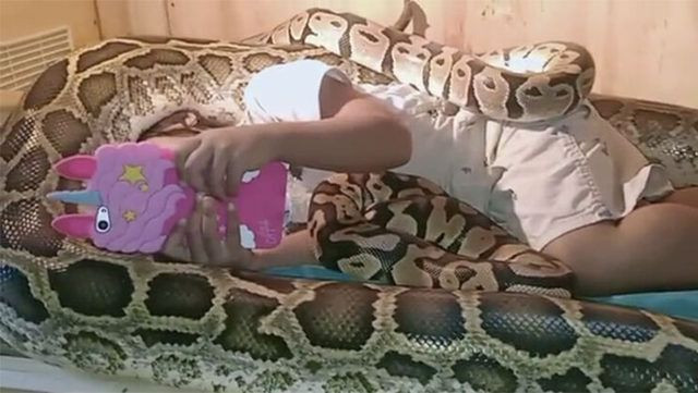 Sosyal medyada olay oldu! Devasa yılanlar Endonezya'da küçük kızın bedenini böyle sardı - Resim: 4