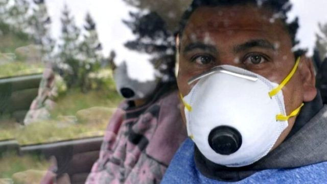 Koronavirüsten sonra Hantavirüs paniği hantavirüs nereden bulaşıyor - Resim: 4