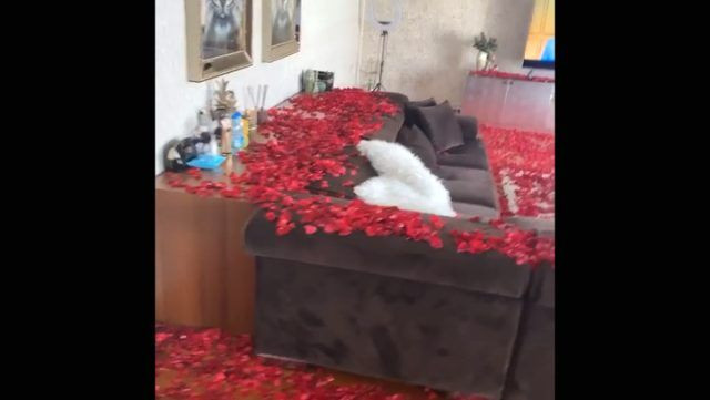 Selin Ciğerci'ye eşi Gökhan Çıra sürpriz yaptı Travis Scott ile Kylie Jenner'ı örnek aldı - Resim: 3