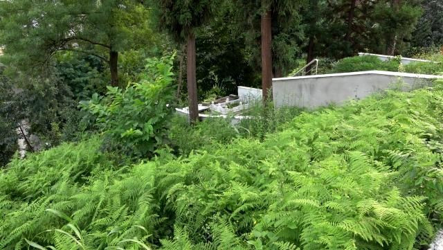 Pandemide darboğaza giren tiyatrocu Orhan Çağlar babasından kalan mezarı satıyor! - Resim: 3