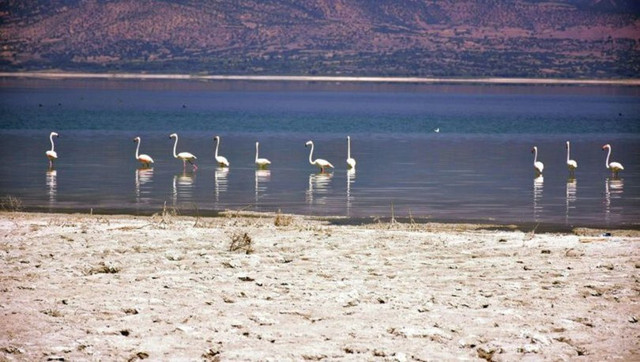 Akgöl Karagöl Tecer kurudu! Burdur Gölü alarm veriyor - Resim: 0