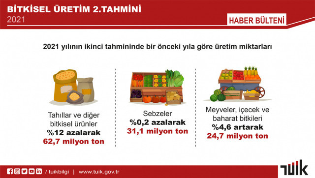 TÜİK açıkladı sebze ve tahıl üretimi azalacak - Resim: 0