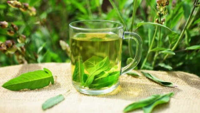 Bademcik şişmesine evde ne iyi gelir doktora gitmeden önce bunları yapın! - Resim: 1