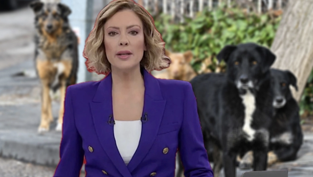 Gülbin Tosun kovulmanın eşiğinde! Mansur Yavaş'la ilgili paylaşımı sonrası zorunlu izne çıkarıldı - Resim: 0