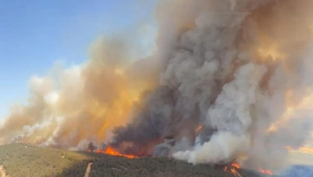 İzmir Foça'daki orman yangını devam ediyor 20 ev tahliye edildi - Resim: 0