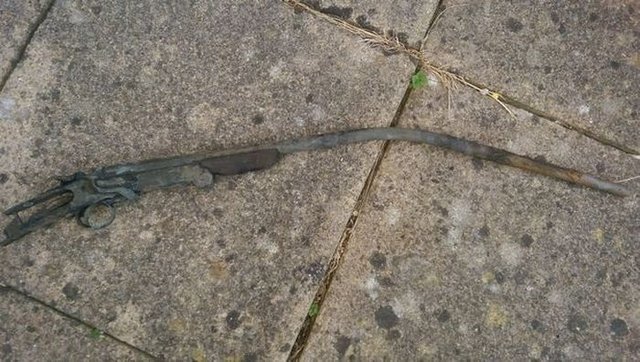 Küçük kız balık tutmak için oltayı attı ama çıkan şoke edecek - Resim: 2