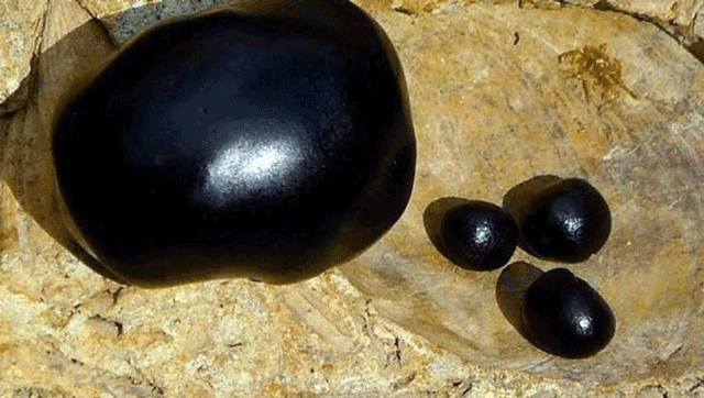  Gizli kalmış bir şifa kaynağı! Dağların gözyaşı mumiyo  - Resim: 2