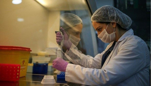 Yüzden fazla hayvanda mevcut! İşte en riskli koronavirüs senaryosu - Resim: 1