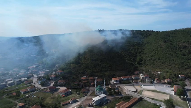 Sakarya'daki orman yangını kısmen kontrol altına alındı - Resim: 0