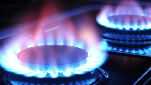 Doğalgazı neden pahalıya alıyoruz? sorusuna Bakan Dönmez'den yanıt: Ticari sır - Resim: 0