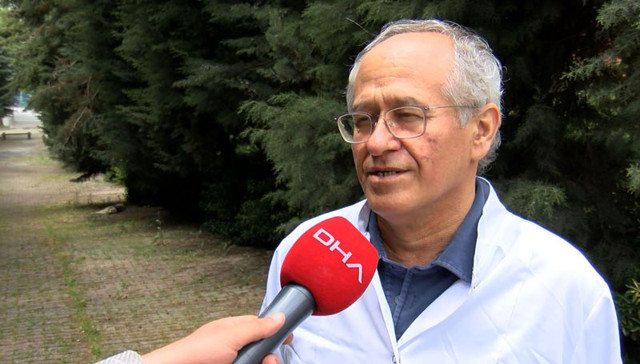 İstanbul'da Batı Nil Vürüsü'ne rastlandı elle temas etmeyin uyarısı asıl tehlike ise - Resim: 0