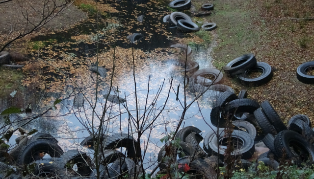 Şile'de orman katliamı! Yüzlerce otomobil lastiği bırakıldı - Resim: 3