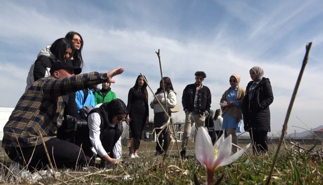 Fotoğrafçılar kardelenlerin güzelliğini objektiflerine taşıdı - Resim: 0