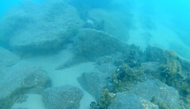 Van Gölü'nün derinliklerindeki yaşamın izleri araştırılıyor - Resim: 1