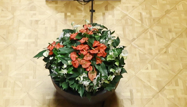 Terörsüz Türkiye Komisyonunun adı belli oldu! Salondaki Antorium çiçeğinin mesajı - Resim: 1