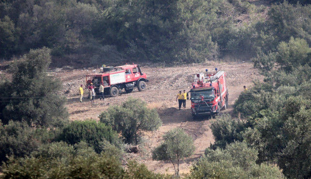 Orman yangınında alevler tüm yöreyi sardı! Çökertme'yi 'Deli Memet' denilen rüzgar yaktı - Resim: 3