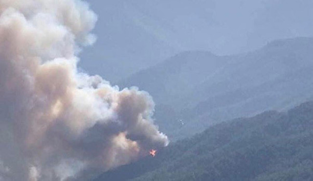 Mersin'de orman yangını! Evler boşaltıldı - Resim: 1