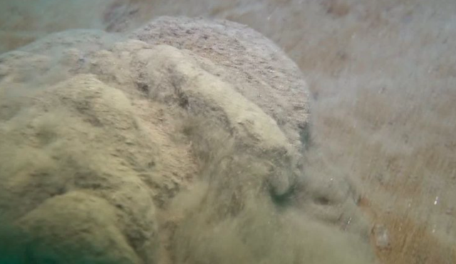 Kabus geri mi dönüyor? Kritik müsilaj açıklaması denizin dibi yorgan gibi - Resim: 1