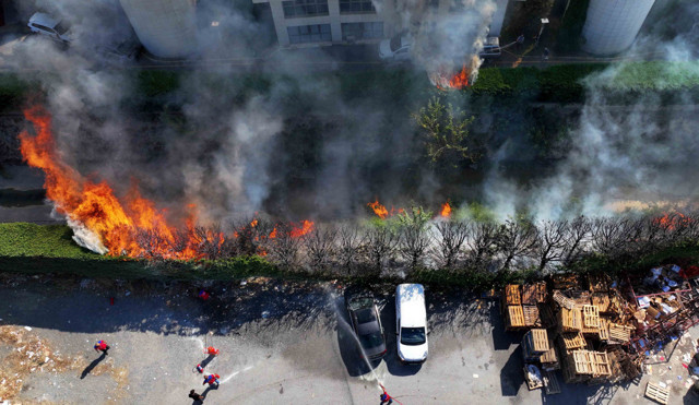 Ümraniye Nikah Sarayı'nın bitişiğindeki ağaçlık alanda yangın - Resim: 0