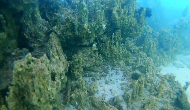 Van Gölü'nün derinliklerindeki yaşamın izleri araştırılıyor - Resim: 2