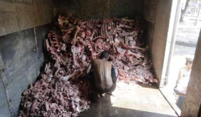 Hayvan leşleri arasında yemek bulmaya çalışan insanların görüntüsü Brezilya'da infial yarattı - Resim: 0